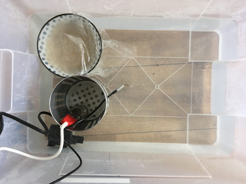 Setup of water filled container, aquariumpump, and heater element